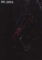 PG 5024