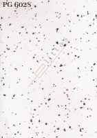 PG 6028