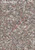 CORAL MİST (664)