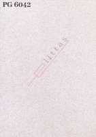 PG 6042