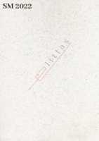 SM 2022