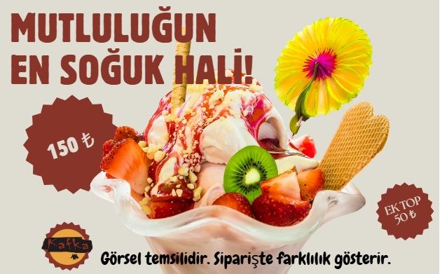 DONDURMA ÇEŞİTLERİ