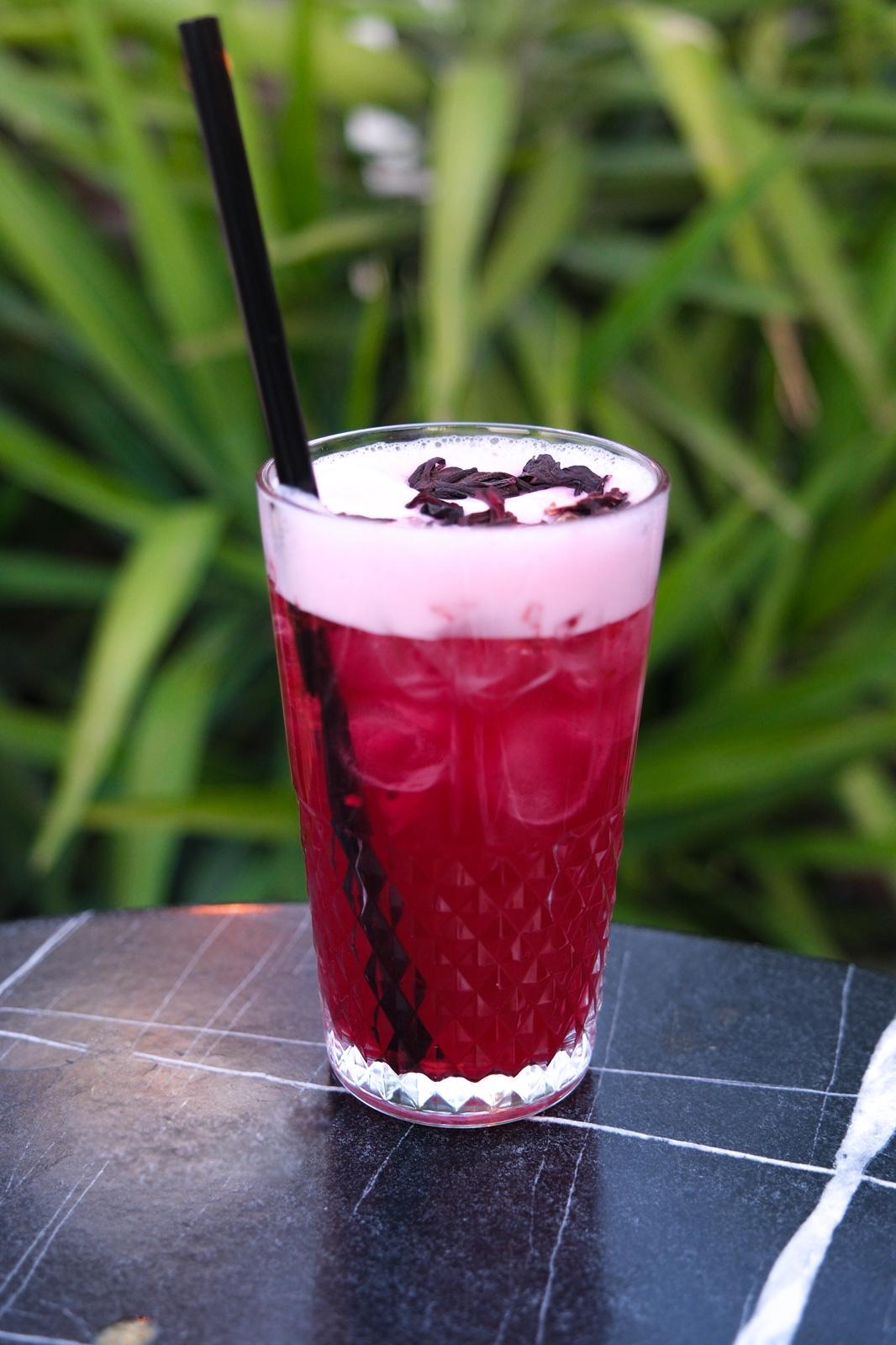 Berry Hibiskus - 