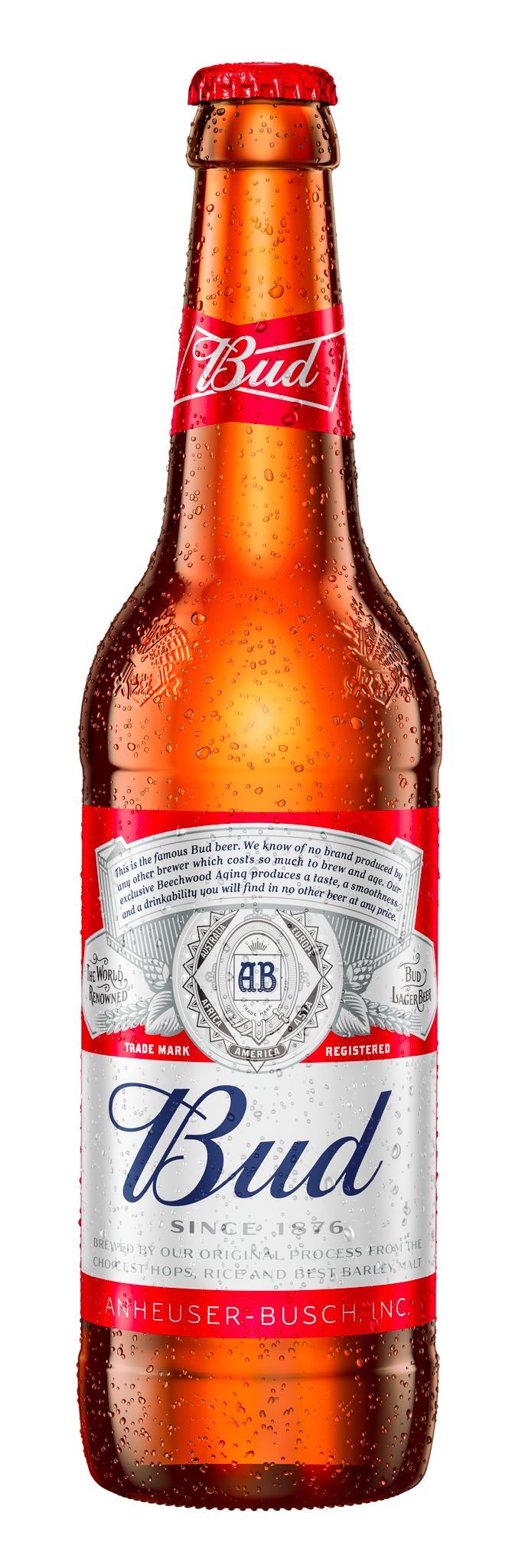 Kova dolusu Bud - 5 adet 50 CL şişe - Fıstık - Ruffles