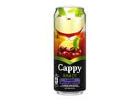 Cappy Karışık (33 cl.)