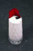 بلودى بوكرت تشيك