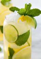 موهيتو نعناع