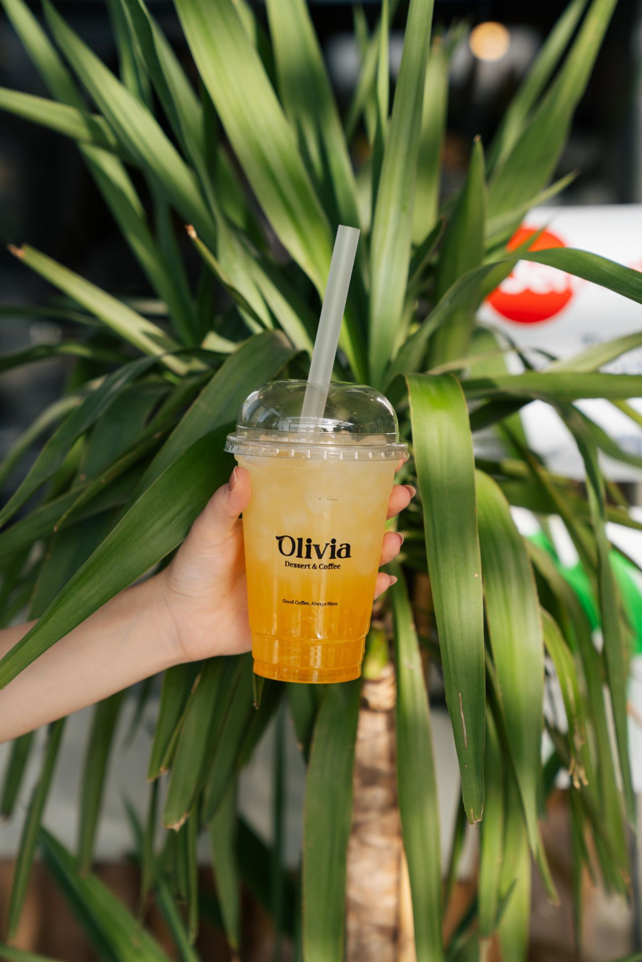 Mango Bubble - Mango Bubble
