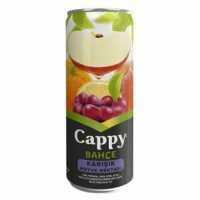 CAPPY MEYVE SULARI