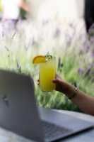 Limonata - 
