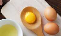 Ek Yumurta