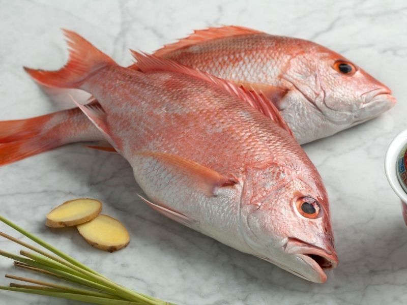 Mercan 1 kg. - 
