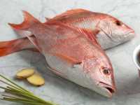 Mercan 1 kg.