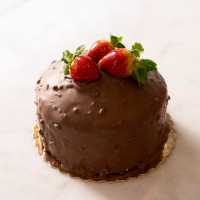 New York (6-8 Kişilik)