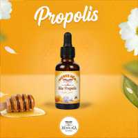 Sıvı Propolis 20 Ml