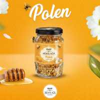 Polen 100 Gr
