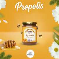 Toz Propolis 100 Gr