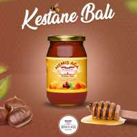 Kestane Balı 500 Gr