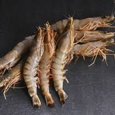 JUMBO KARİDES  250 GR - 