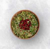 السلطة العربية