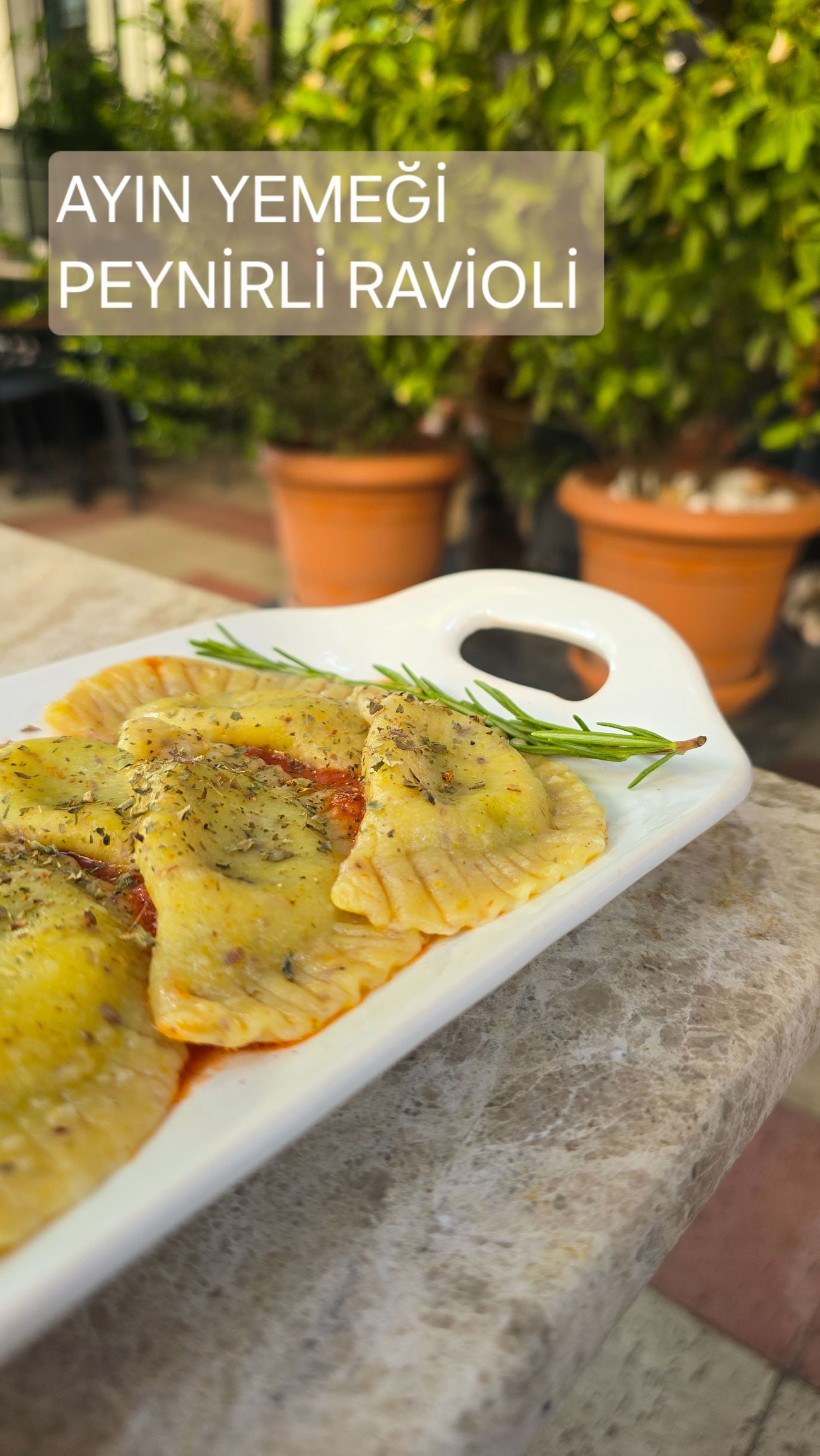 Cheese Ravioli - Served with tomato sauce on top.