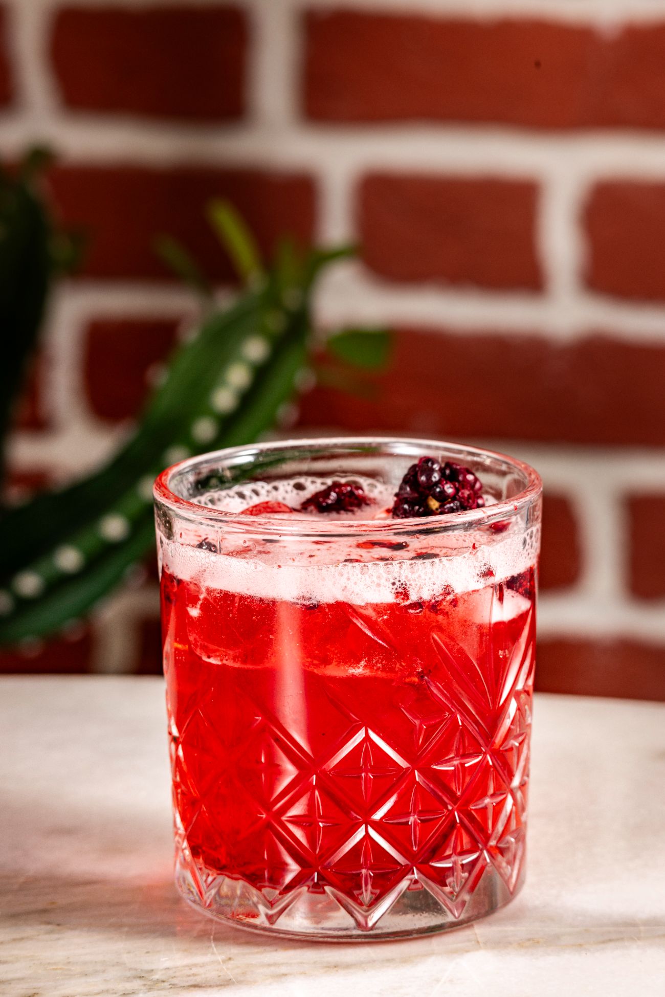 Hibiscus - 