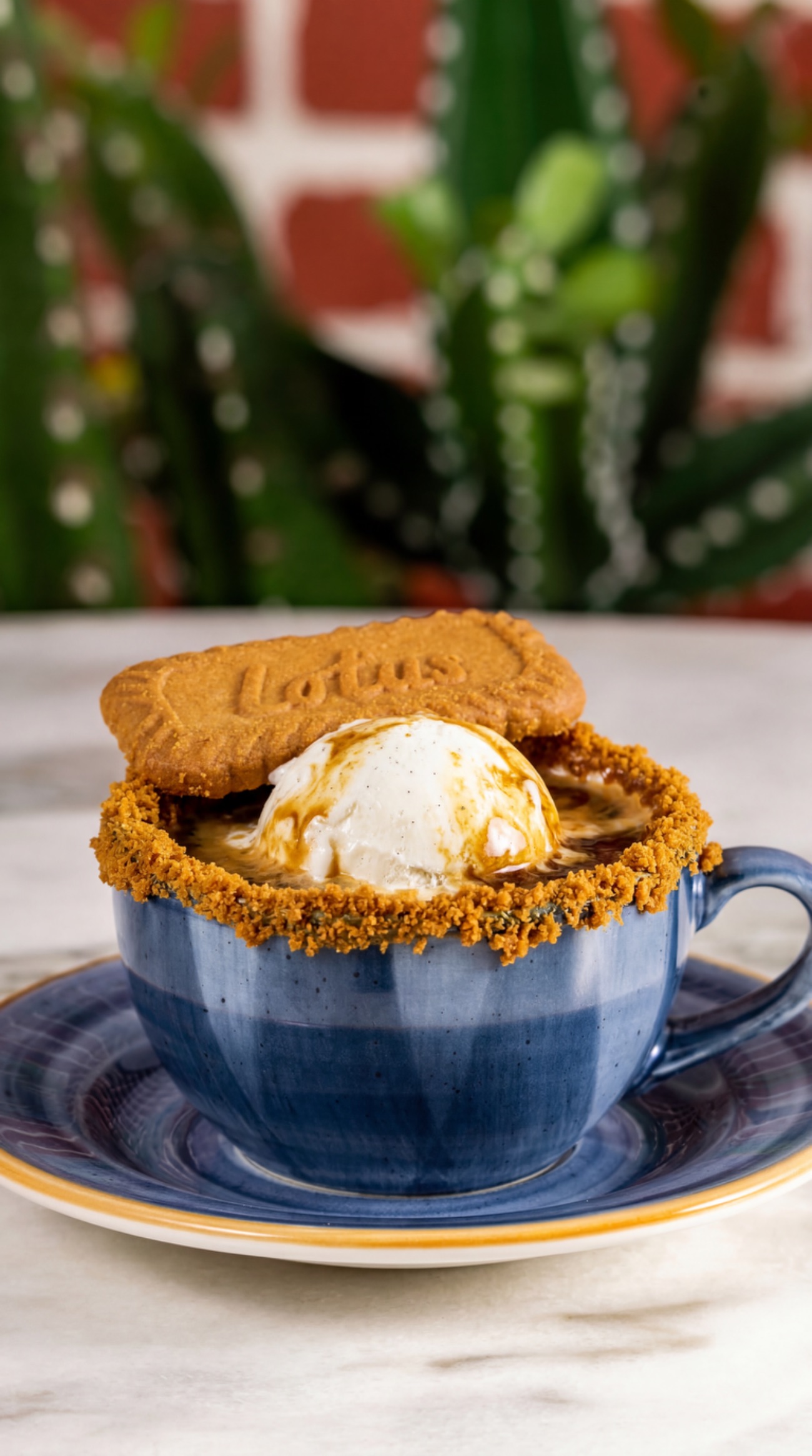 Lotuslu Affogato - 