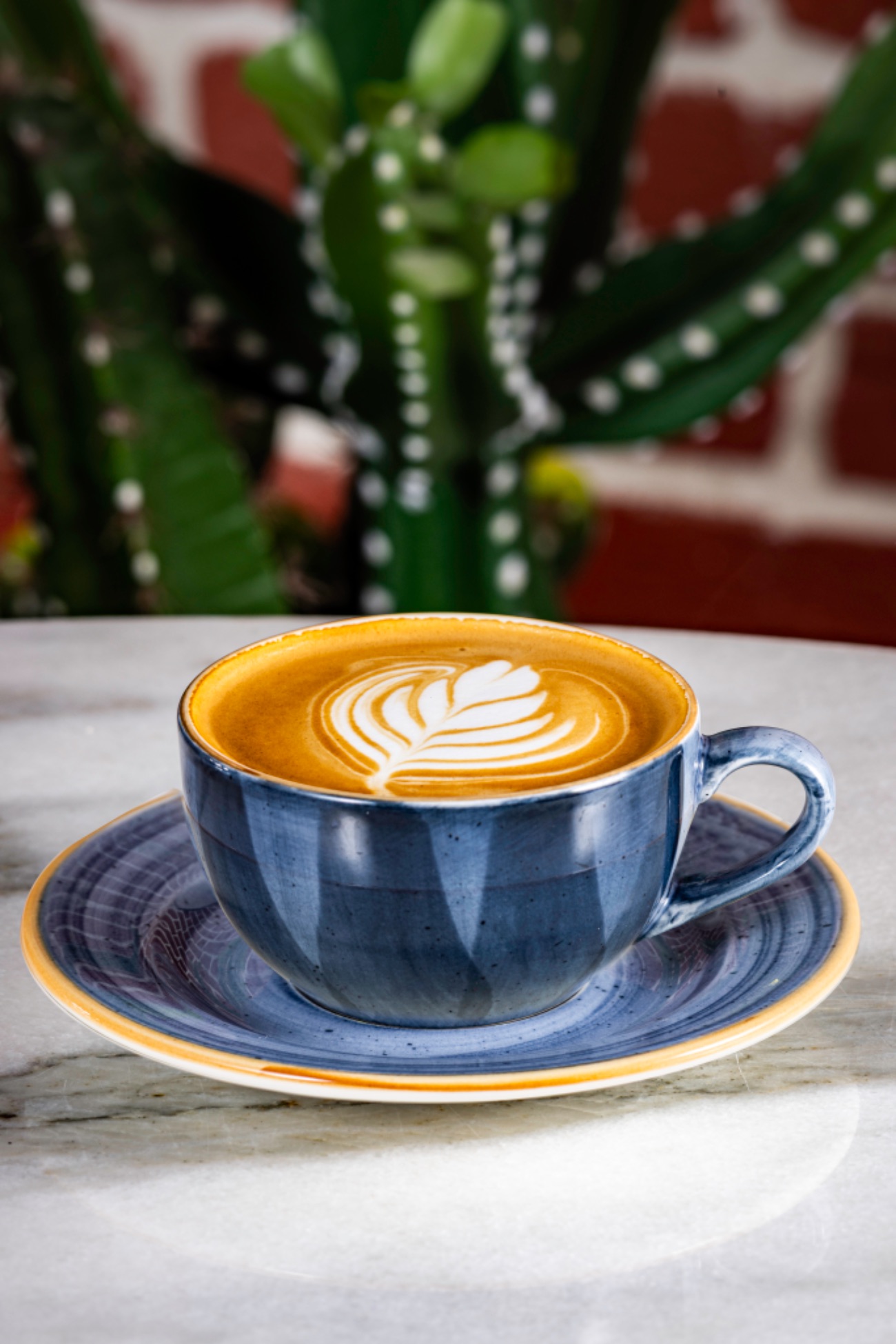 Dulce De Leche - 