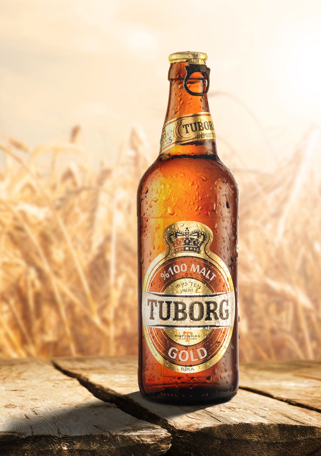 TUBORG GOLD 50cl - 