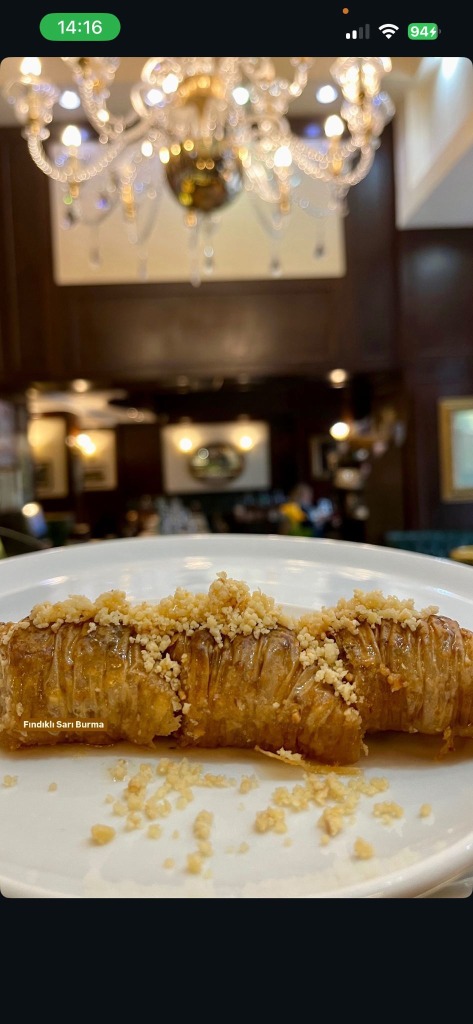 Sarı Burma ( 3 Adet)