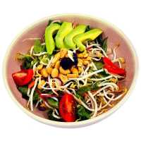 V0552 - Asya Salata (Sade)