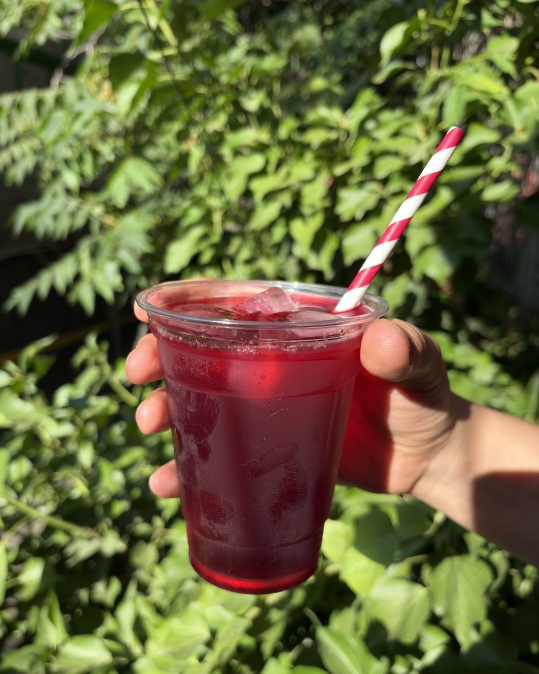 Soğuk Hibisküs Çayı - El yapımı buz gibi hibisküs çayı! Hibisküs, adaçayı, yeşil çay, kiraz sapı, fesleğen, limon, şeker ve vanilya.