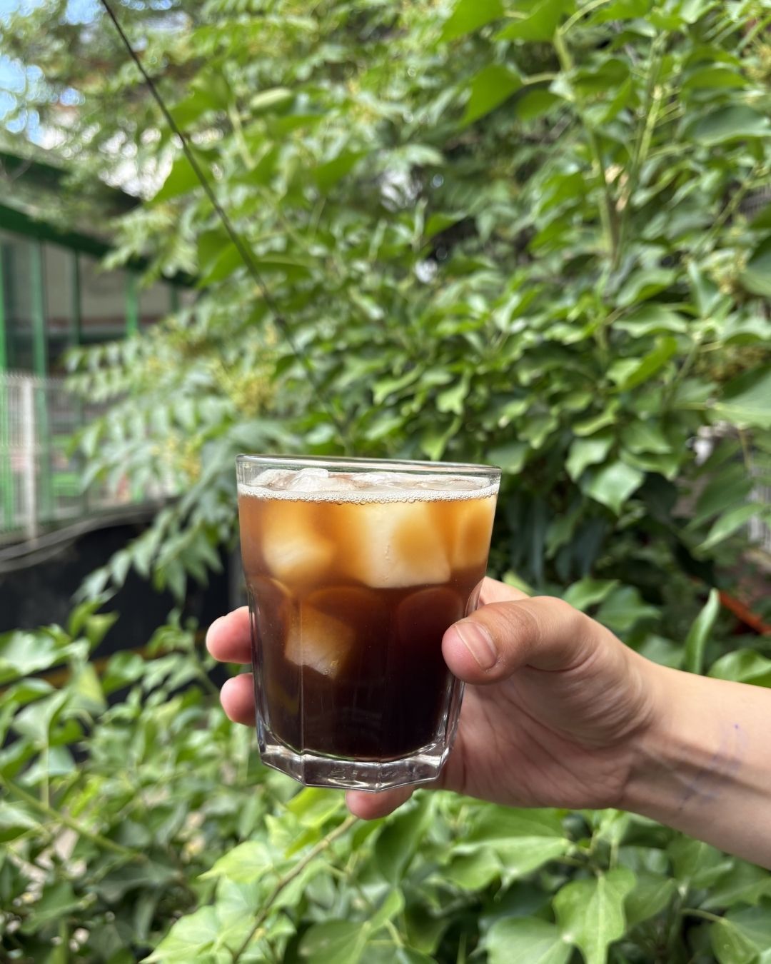 Cold Brew - Dev bardakta, günlük soğuk demleme kahve