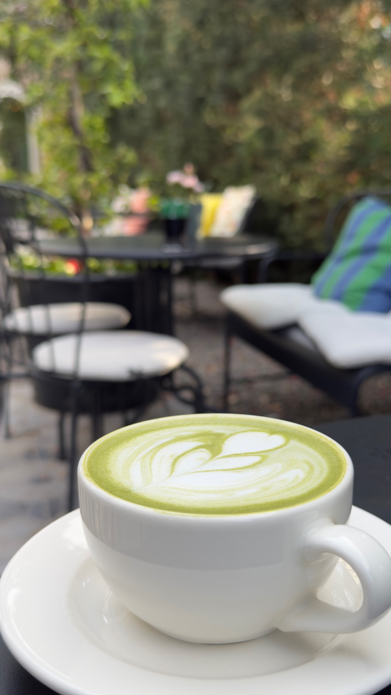 Matcha Çayı