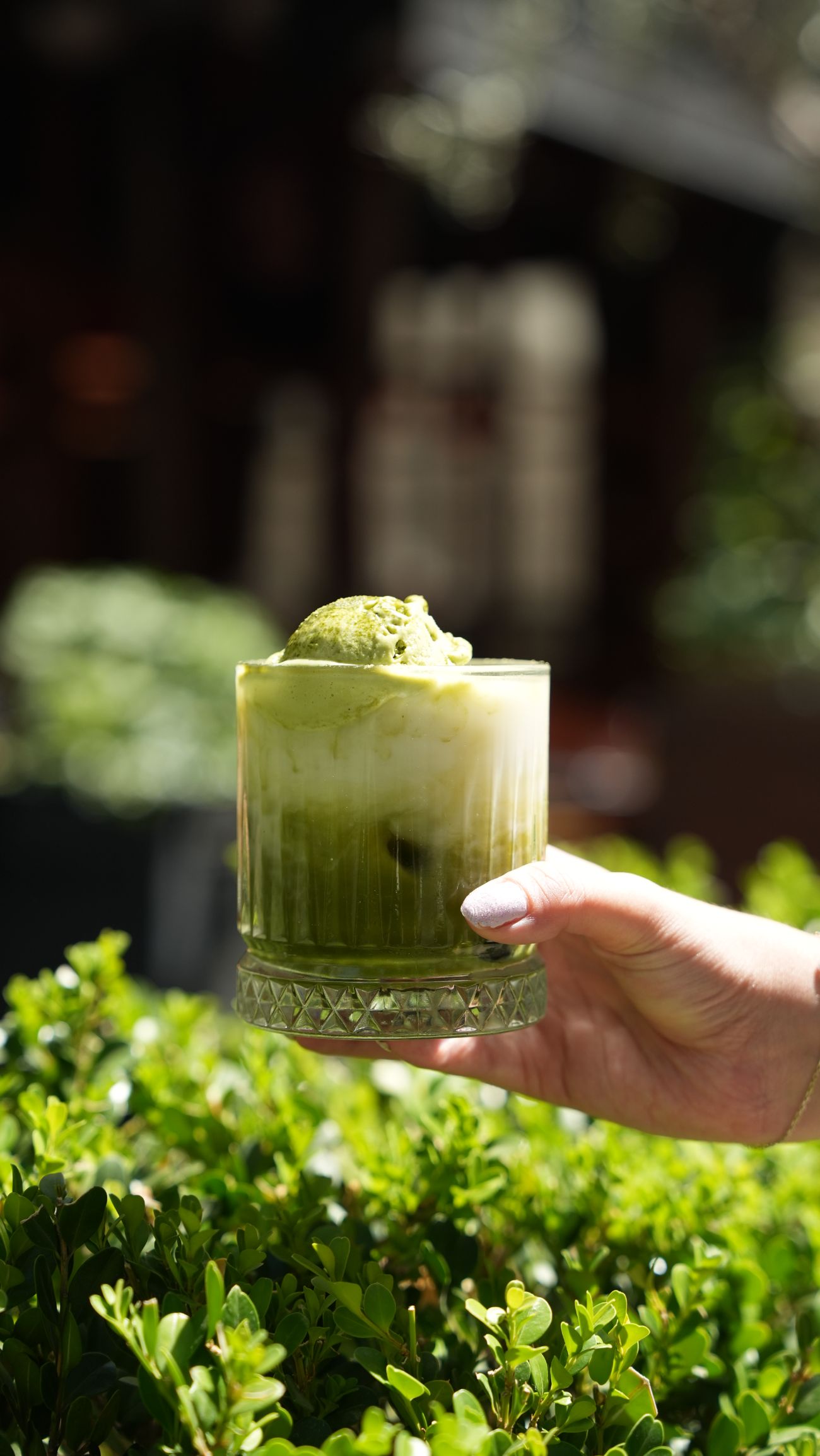 Matcha Float - Iced Matcha Latte, vanilya, matchalı dondurma