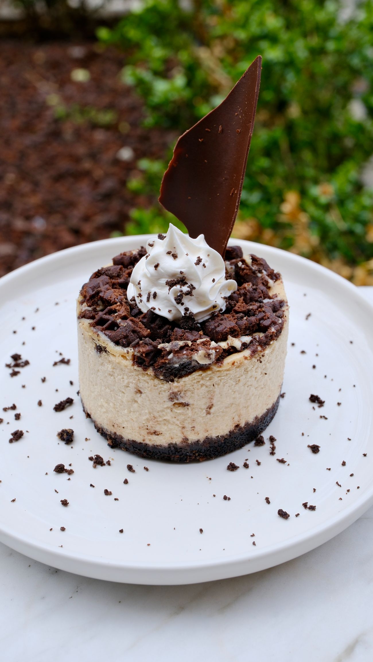 Espresso Cheesecake - Kahvenin Cheesecake ile buluştuğu en lezzetli hali.
