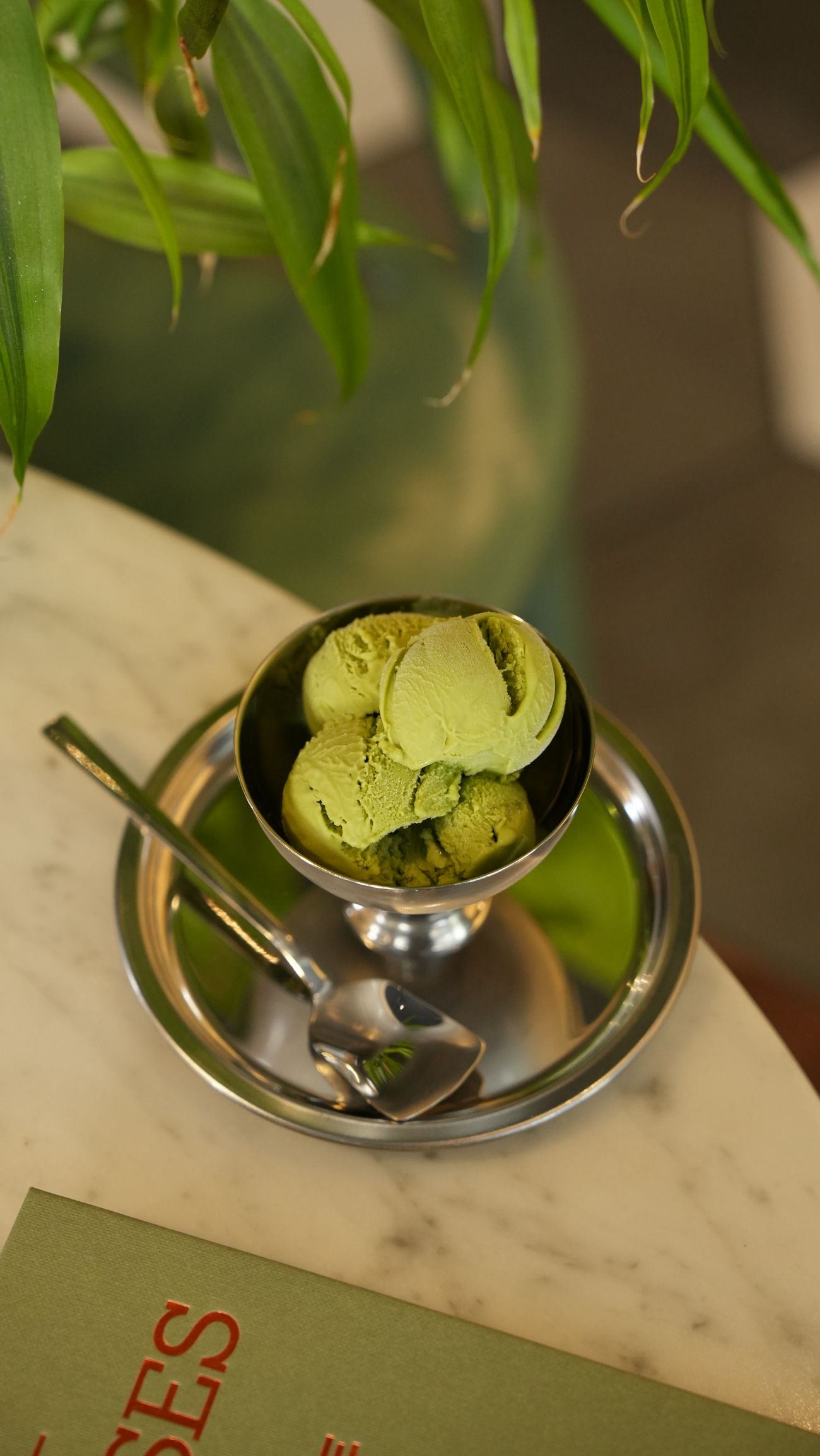 Matcha Scoop - Paseo Gelato x Dem