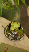 Matcha Scoop