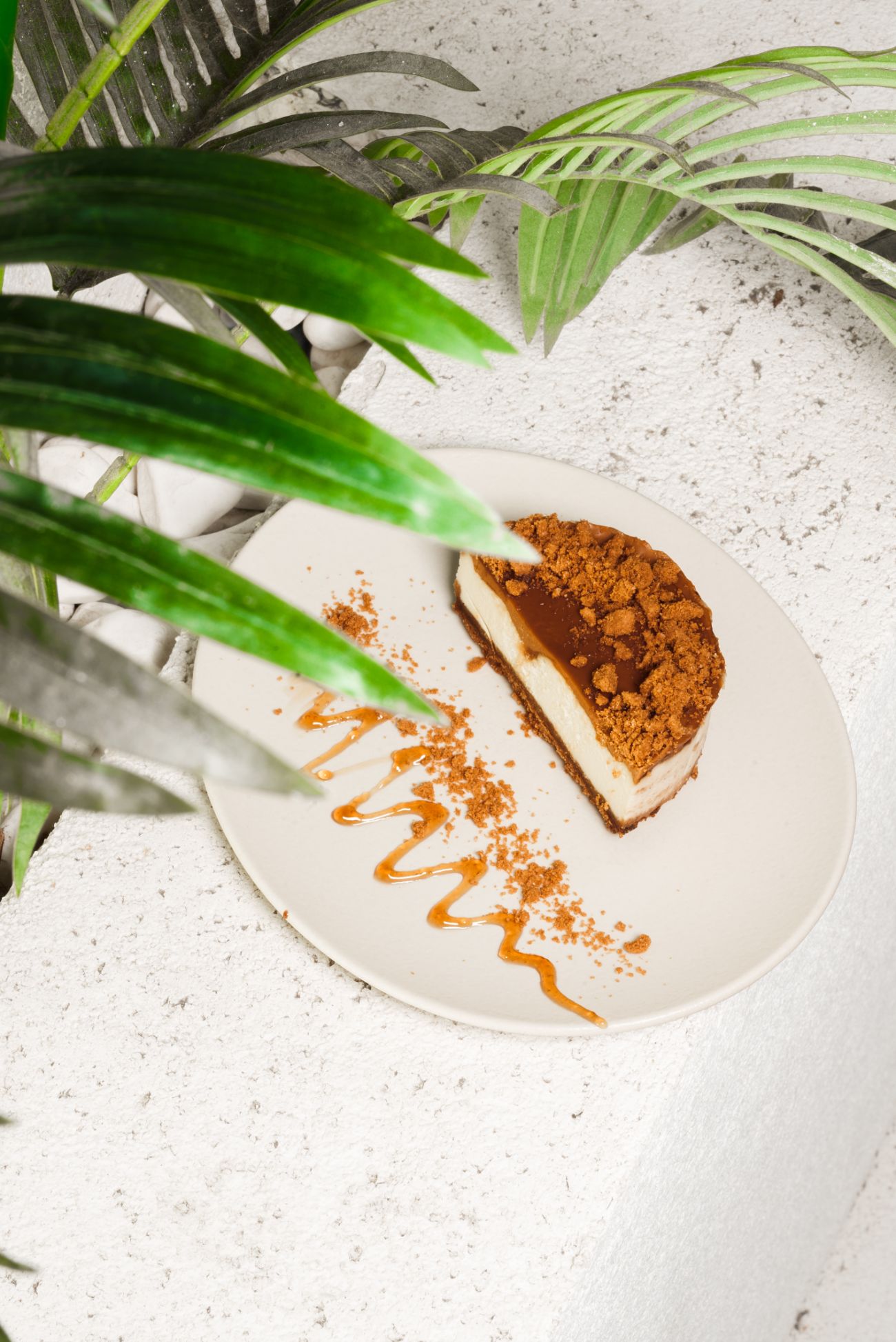 Lotus Cheesecake - 