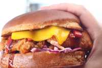 Kyoto Fire Burger