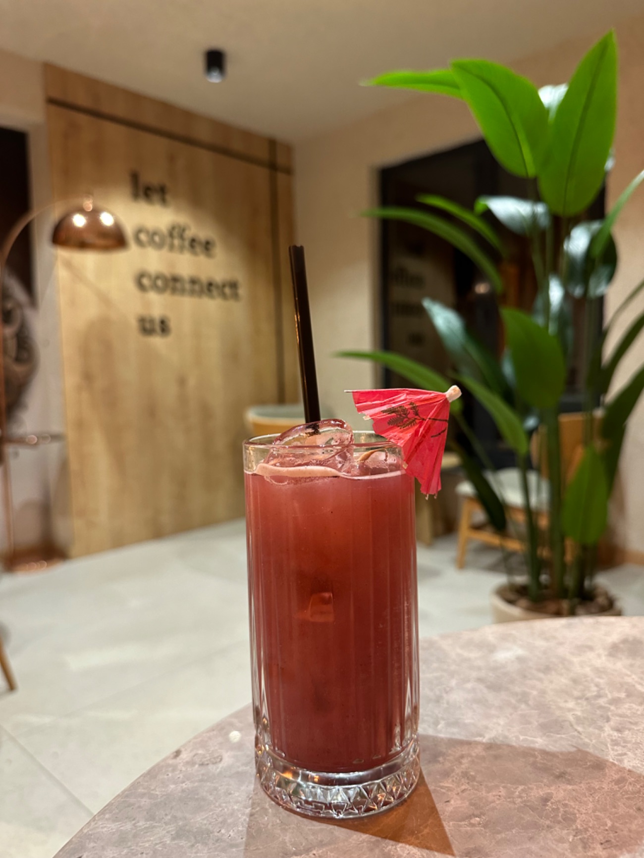 Star Hibiscus - 