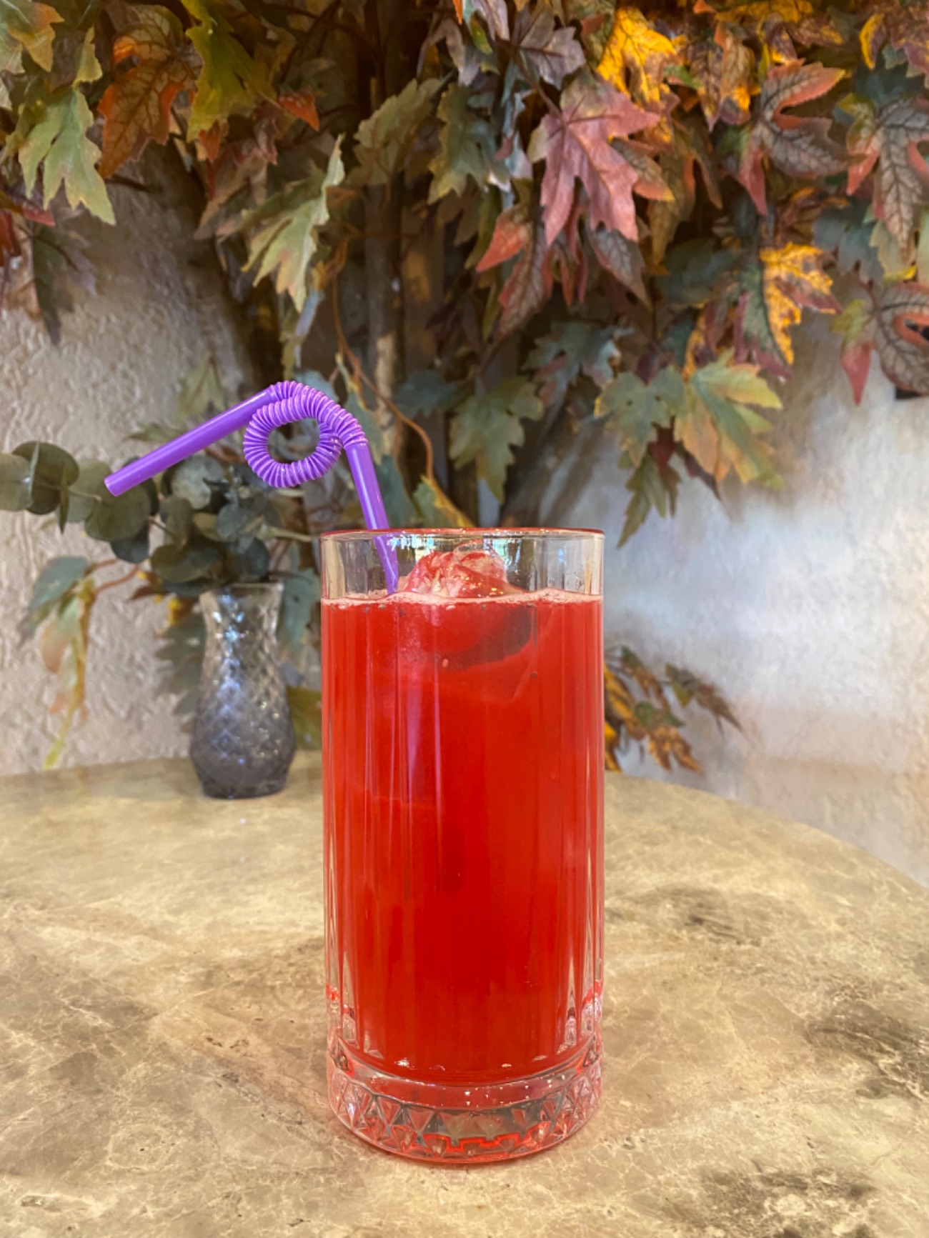 Pink Pitaya - 