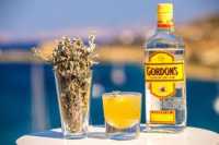 GORDON'S GIN