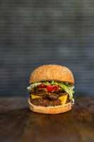 Protein Burger (20 19 Version 2.0)