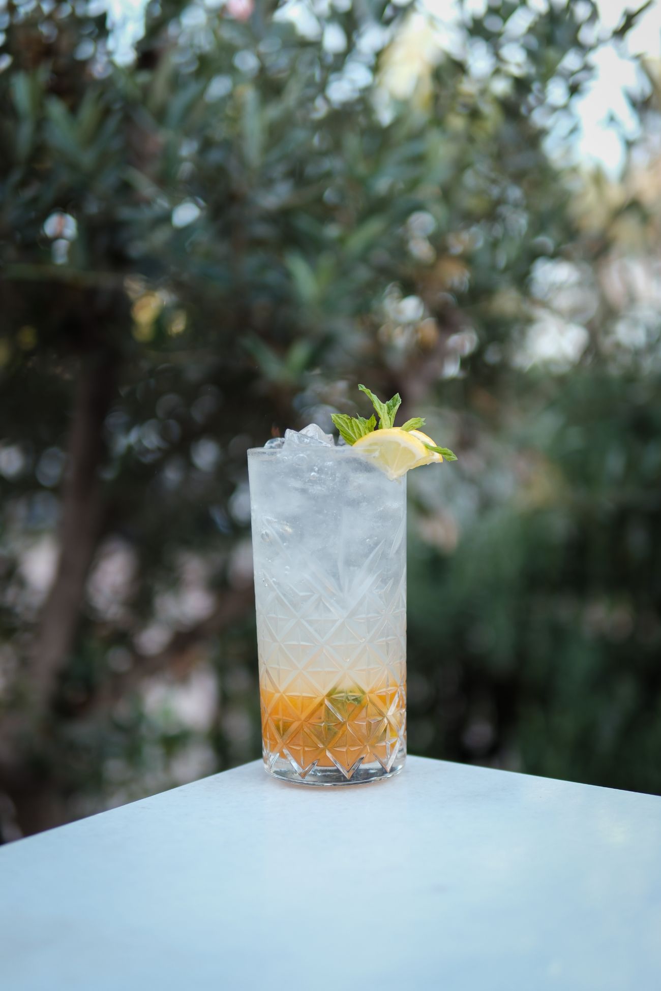MOJİTO MANGO - 