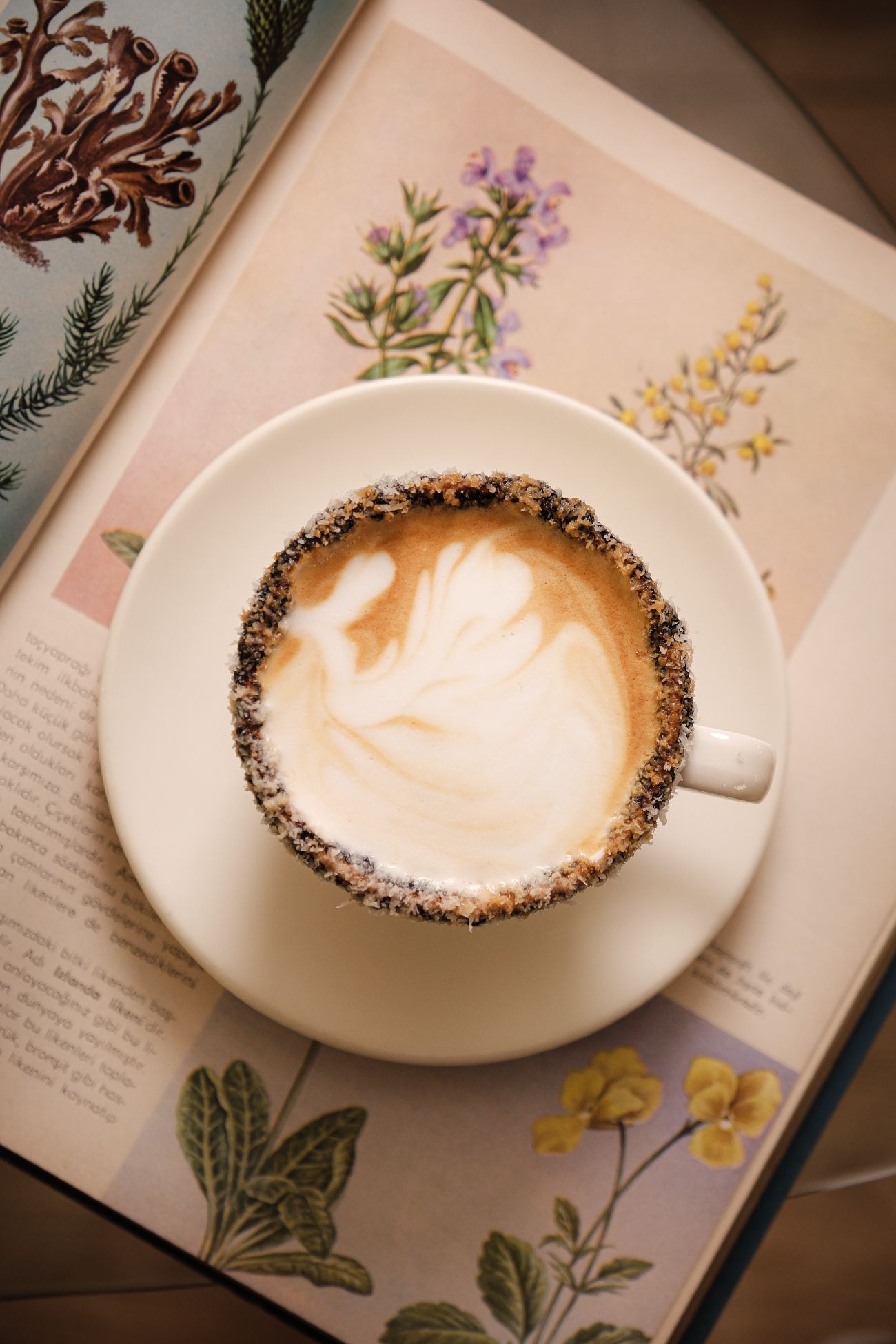 COCONUT MOCHA - 