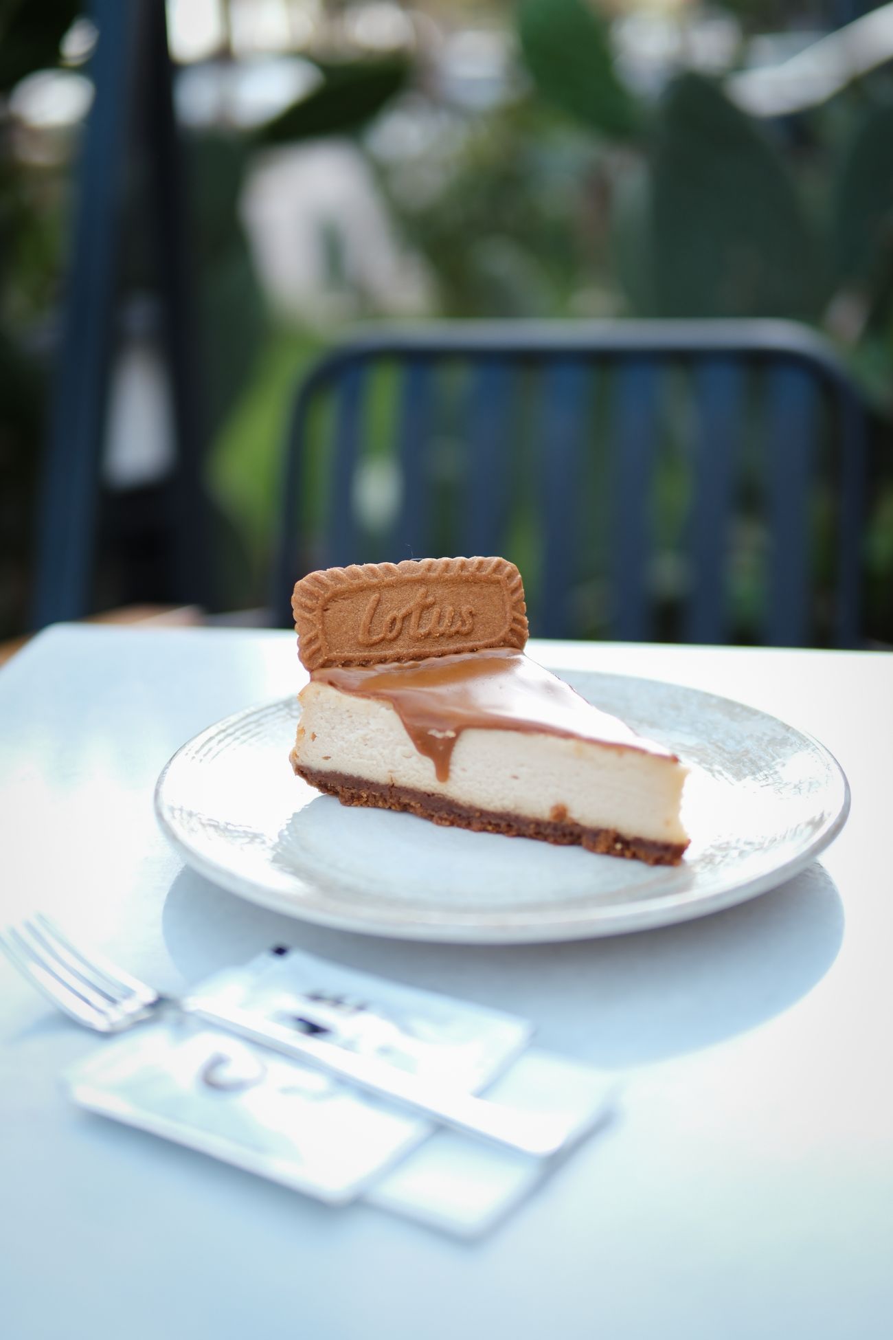 Lotus Cheesecake - 