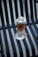 ICE COCONUT MOCHA