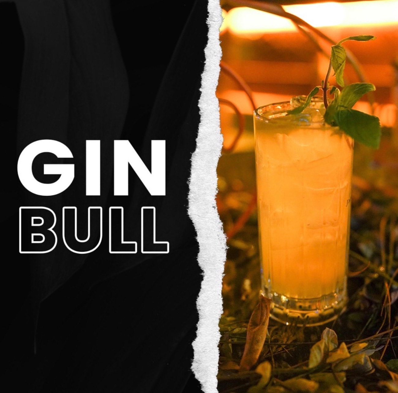 Gın Bull - Gın, Limon Suyu, Taze Nane, Red Bull Yellow Edittion