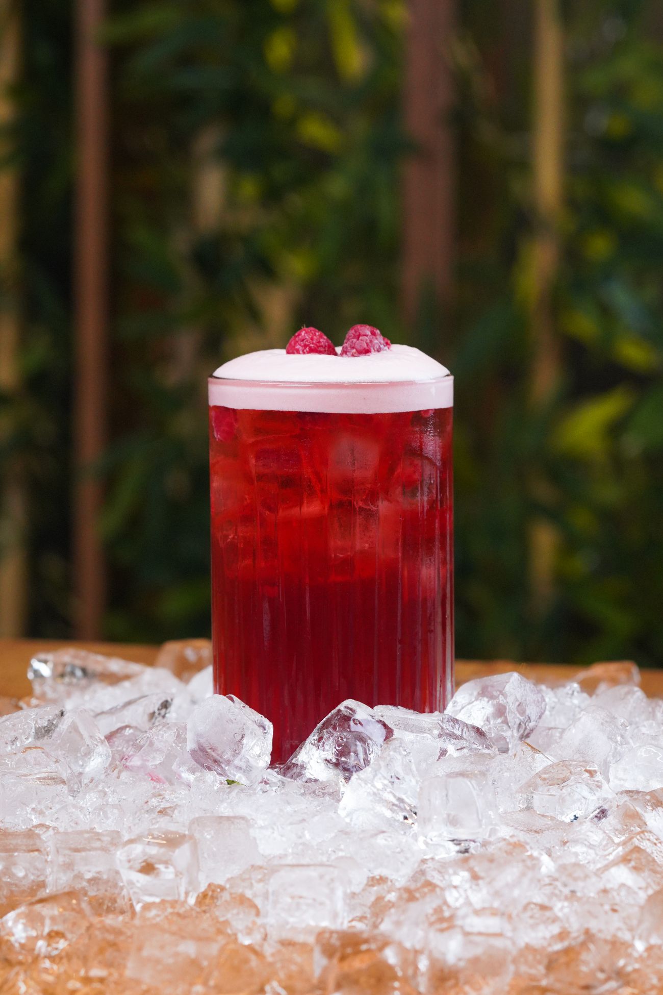 Berry Hibiscus - 